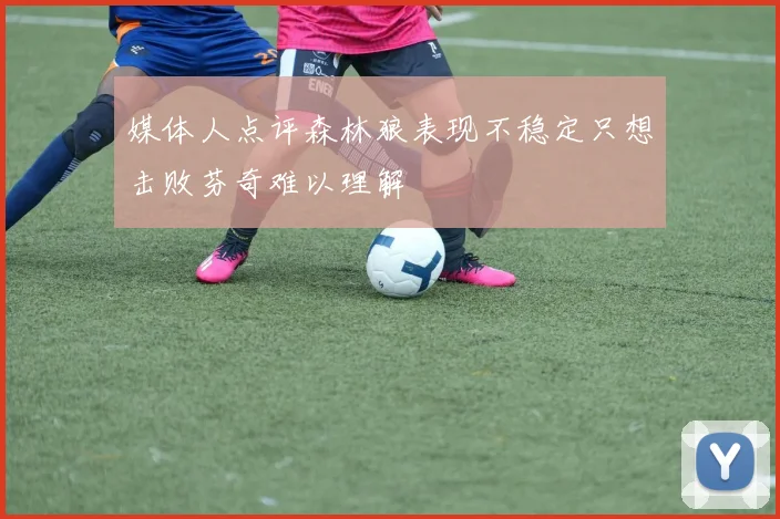 媒体人点评森林狼表现不稳定只想击败芬奇难以理解